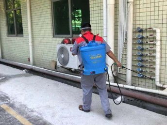 深圳臭蟲防治 工廠、宿舍、辦公室與家庭全面消殺指南